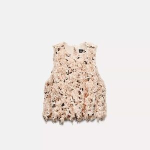 Zara Frayed Sequin Feathered Top